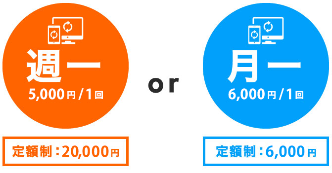 4,000円/1回 週一 定額制15,000円 or 5,000円/1回 月一 定額制5,000円