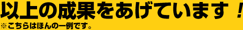 以上の成果をあげています!
