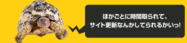 ほかごとに時間取られて、サイト更新なんかしてられるかいっ!