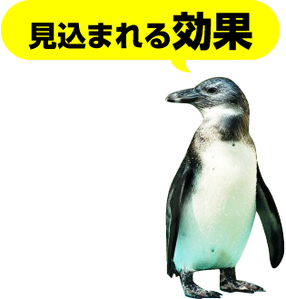 見込まれる効果